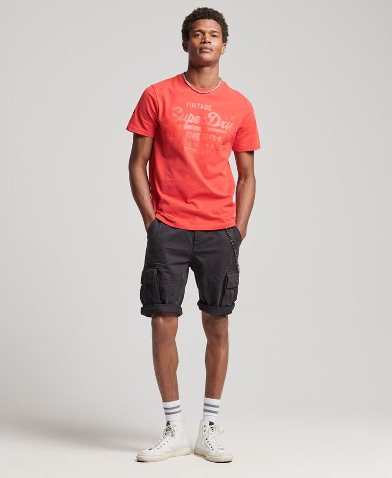 Camiseta-Para-Hombre-Vl-Tonal-Tee-Superdry