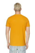Camiseta-Para-Hombre-T-Diegor-E11