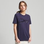 Camiseta-Para-Mujer-Vintage-Script-Style-Ww-Tee-Superdry