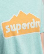 Camiseta-Para-Mujer-Vintage-90S-Terrain-Tee-Superdry