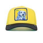 Gorra-Para-Hombre-Doggy-Trip-Goorin-Bros