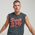 Camiseta-Manga-Sisa-Para-Hombre-Vintage-Flyer-Superdry