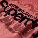 Camiseta-Para-Hombre-Cl-Great-Outdoors-Graphic-Superdry