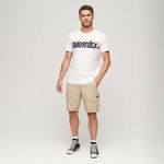 Camiseta-Para-Hombre-Terrain-Striped-Logo-Superdry