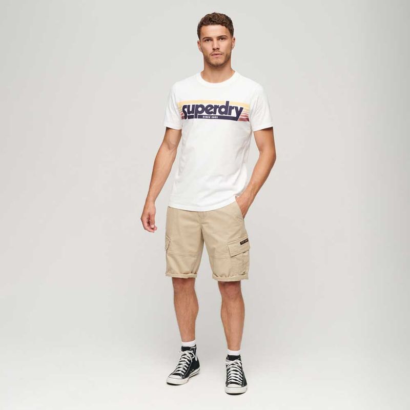 Camiseta-Para-Hombre-Terrain-Striped-Logo-Superdry