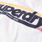 Camiseta-Para-Hombre-Terrain-Striped-Logo-Superdry