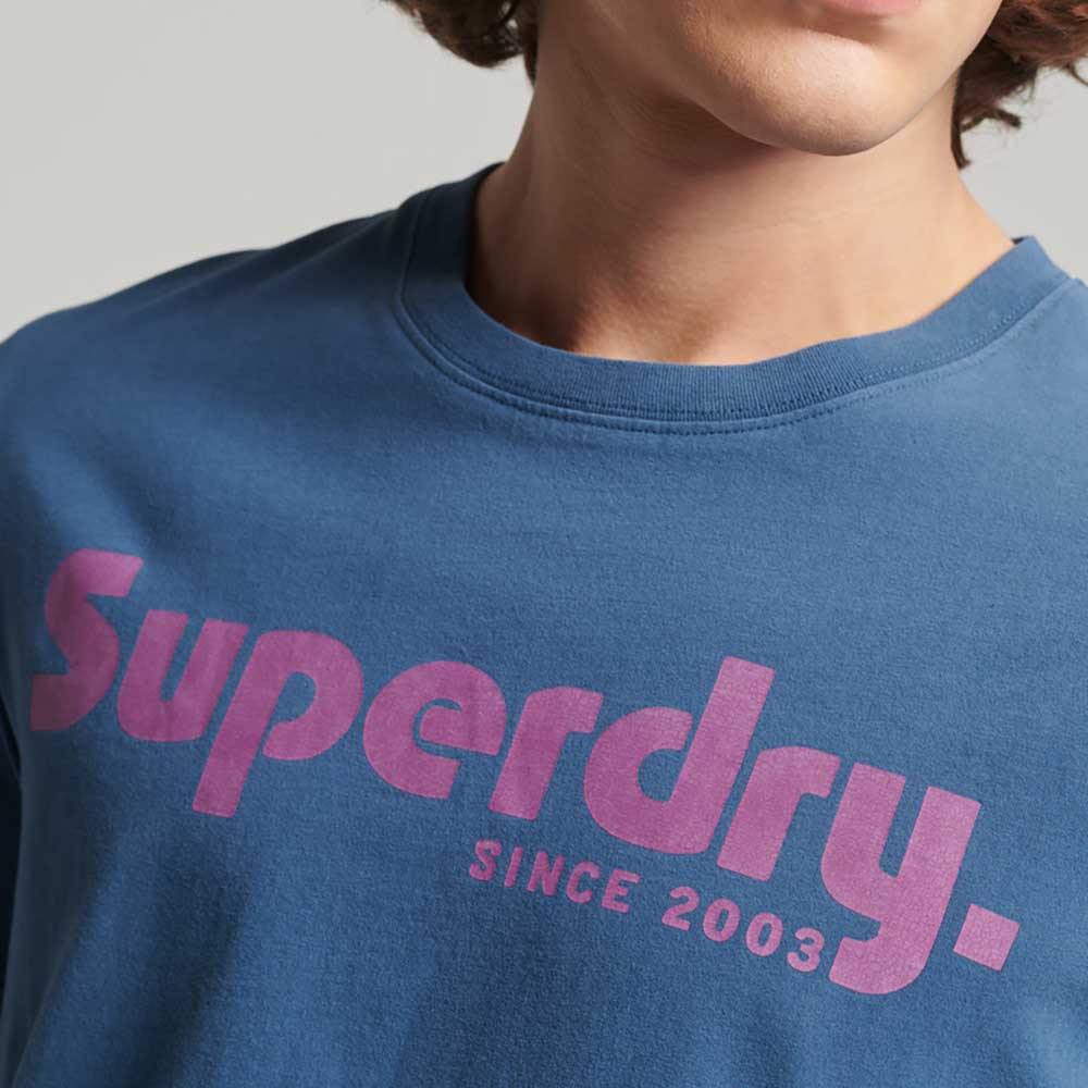 Camiseta Para Hombre Terrain Striped Logo Superdry