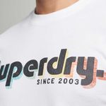 Camiseta-Para-Hombre-Terrain-Logo-Classic-Superdry