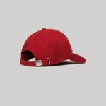Gorra-Para-Hombre-Graphic-Trucker-Superdry