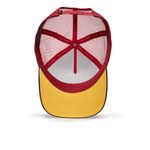 Gorra-Para-Hombre-The-Hustle-Bird-Goorin-Bros