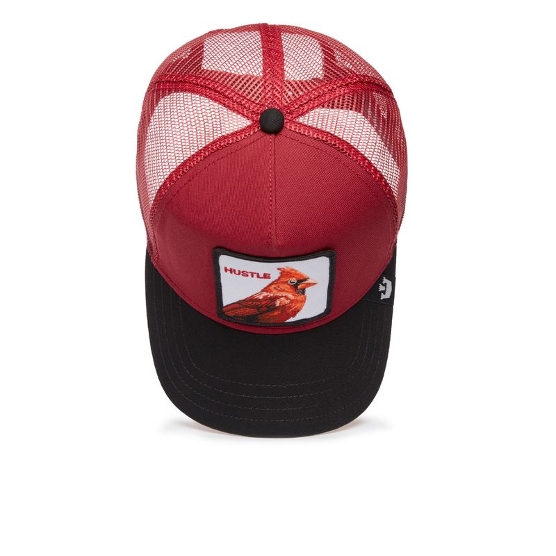 Gorra-Para-Hombre-The-Hustle-Bird-Goorin-Bros