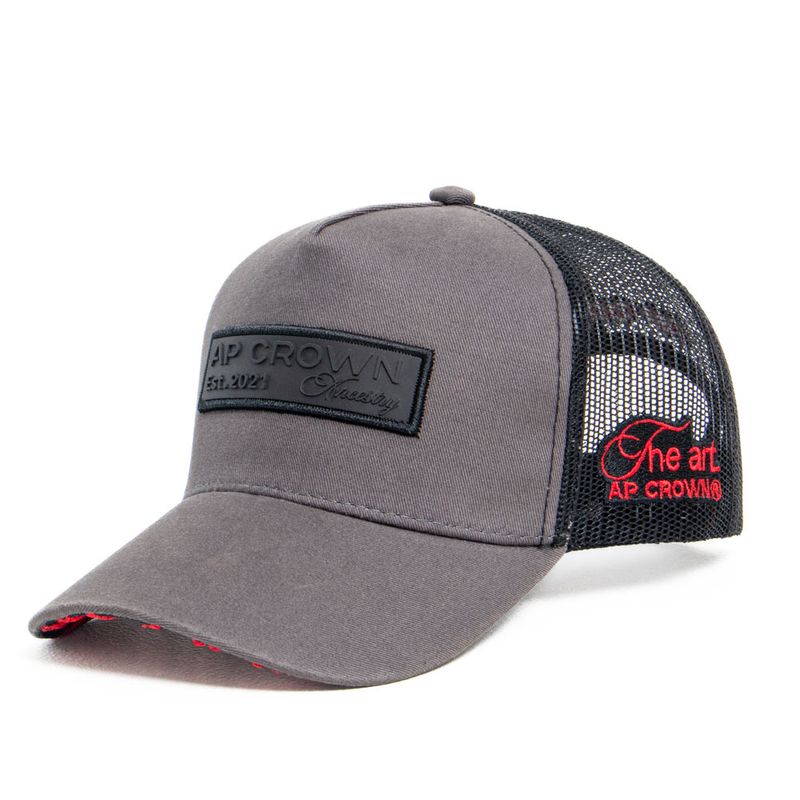 Gorra-Para-Hombre-Enti-Grey-Ap-Crown