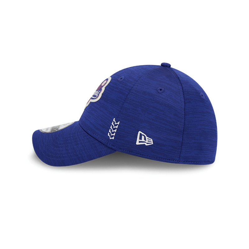 image-45d3d79cc7754b3988e238f43fb29f54